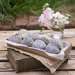 白金更简单！ 《丝之歌》PS版缺少钢魂模式成就