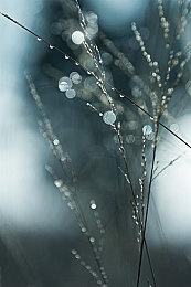 《剑星》免费更新和DLC上线 PC版9月30日追加新任务